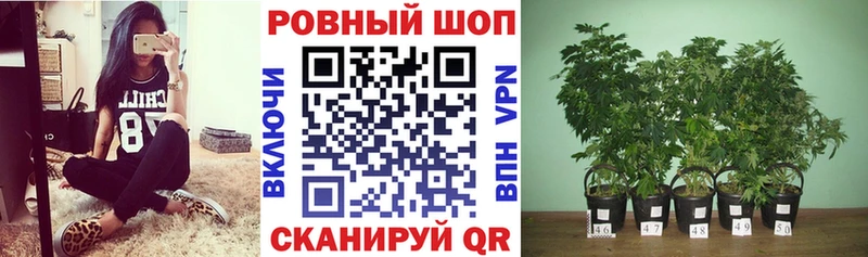 Как найти наркотики Жуков АМФЕТАМИН Канабис Кокаин Галлюциногенные грибы Гашиш Меф
