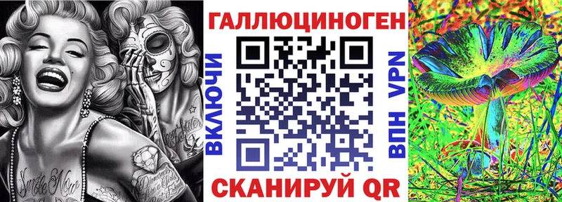 Псилоцибиновые грибы Psilocybe  хочу   Жуков 
